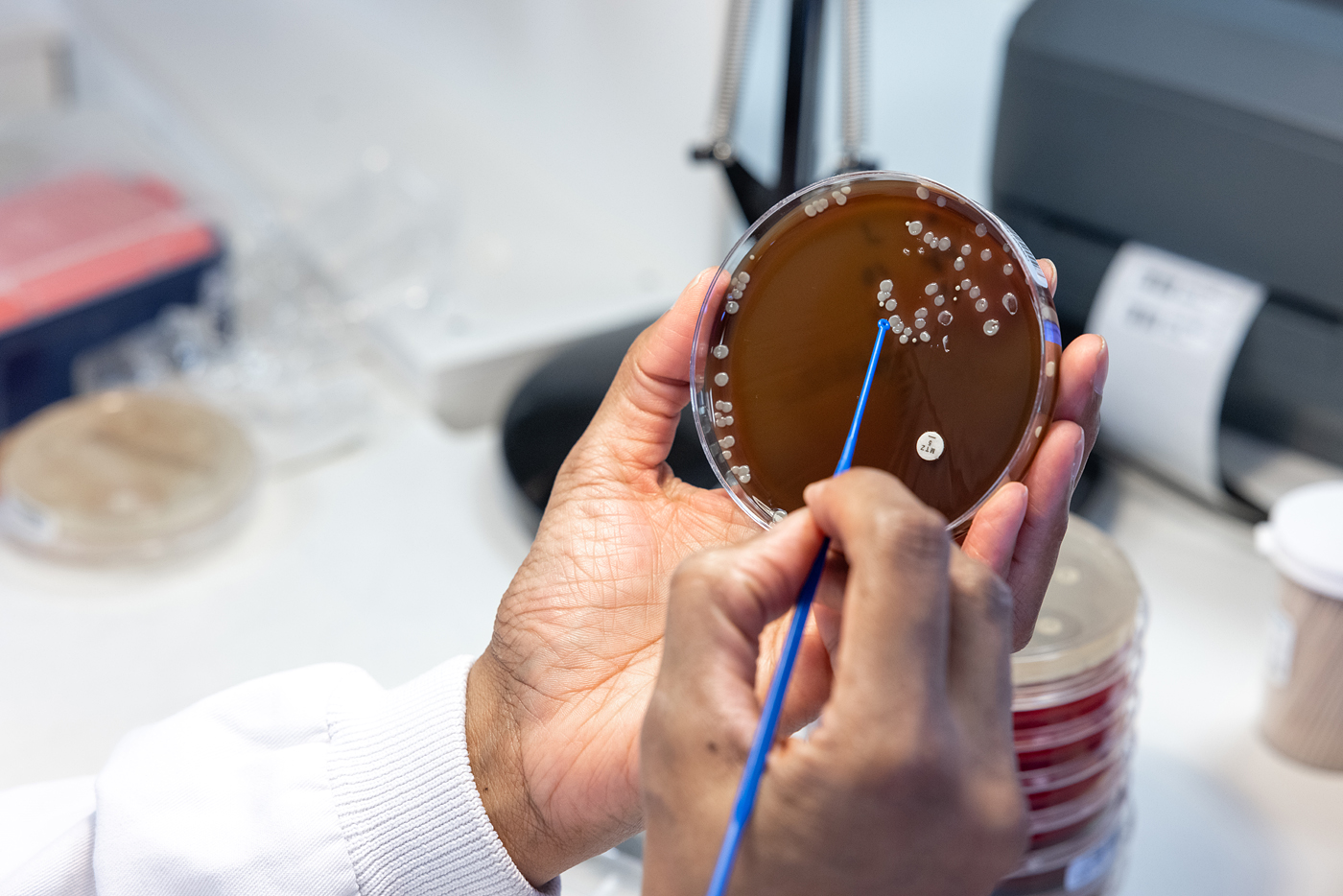 Kiestra Microbiology Lab - Hands and Agar Plate 