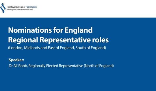 Nominations for England Regional Representative roles