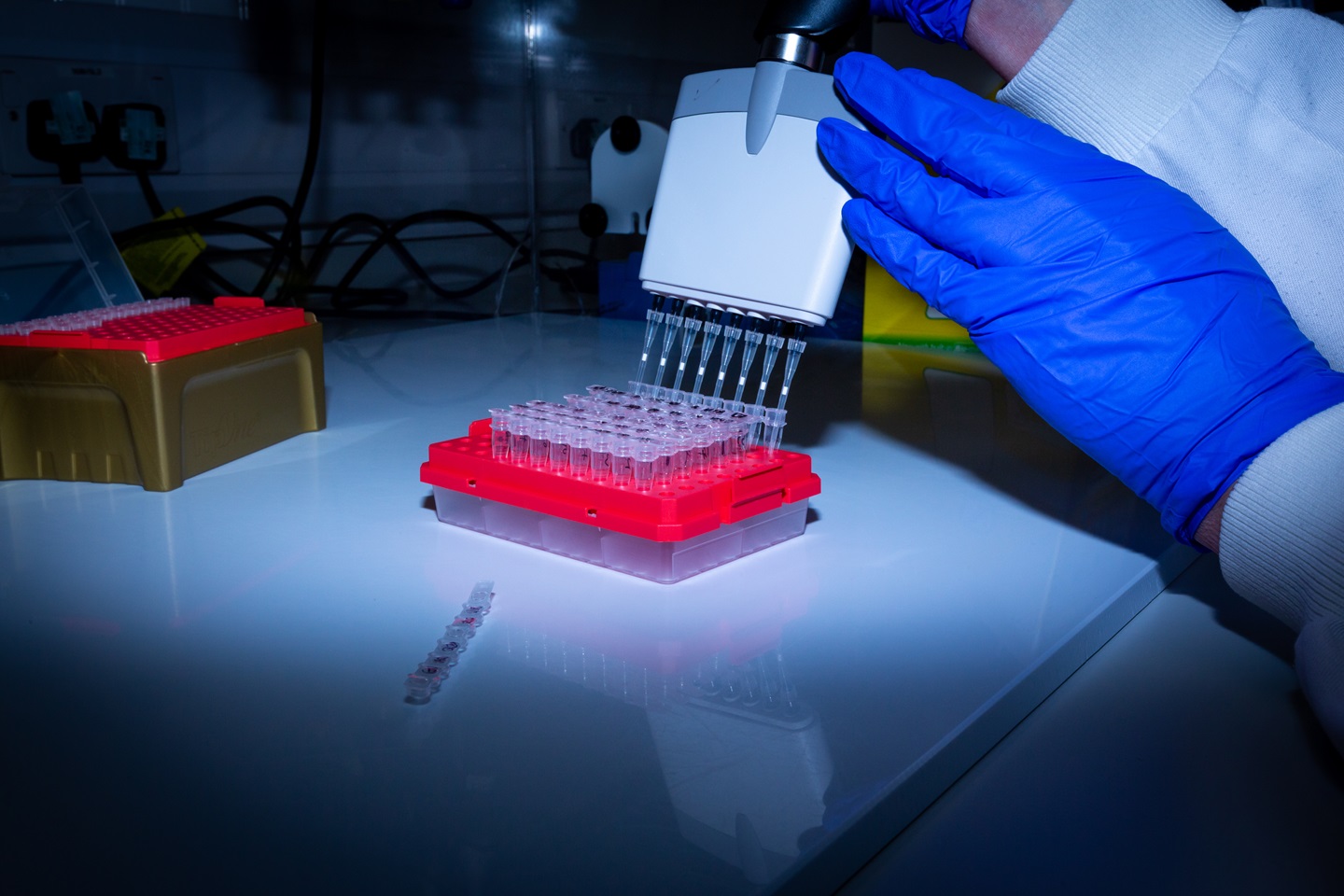 Photograph of pipetting process