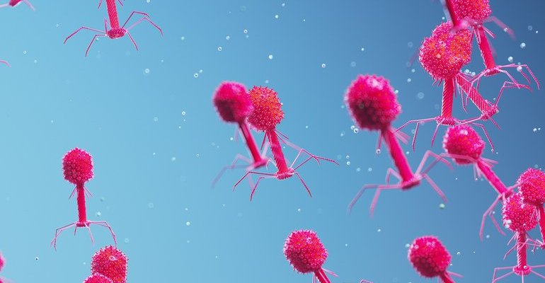 Bacteriophages - resized.jpg
