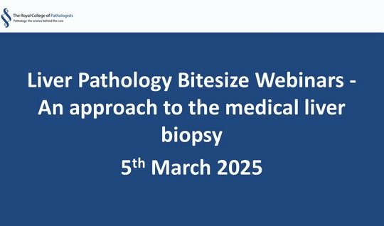 Liver Pathology Bitesize Webinars - An approach to the medical liver biopsy