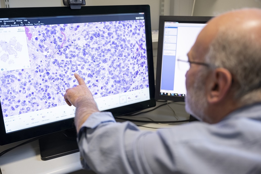 Neuropathologist points out findings on computer screen