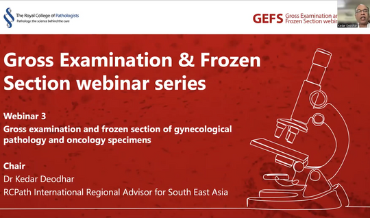 Gross examination and frozen section of gynecological pathology and oncology specimens