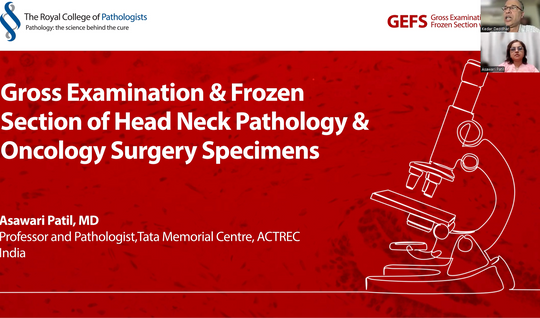 Gross examination and frozen section of head and neck pathology and oncology surgery specimens