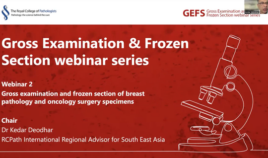 Gross examination and frozen section of breast pathology and oncology surgery specimens