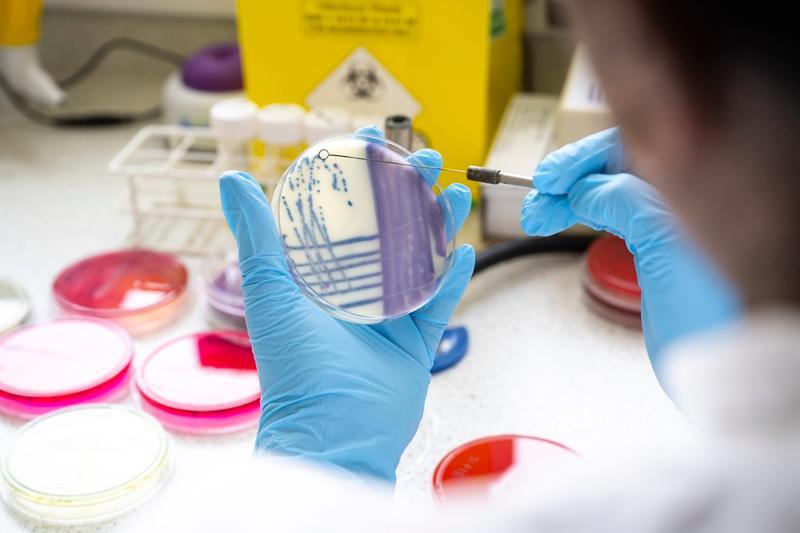 Veterinary technician with a petri dish 