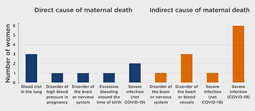 Fig 1. causes of maternal deaths.jpg