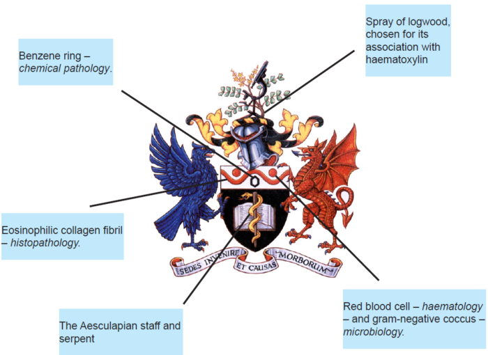 College crest annotated png2.PNG