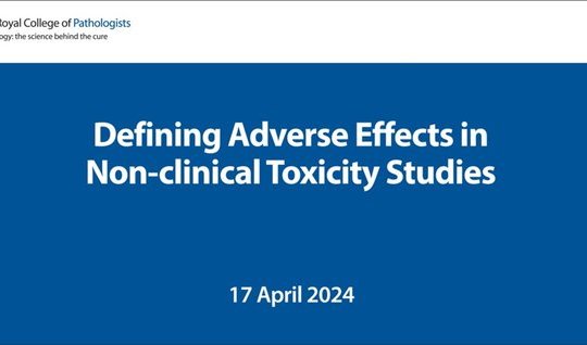 Defining Adverse Effects in Non-clinical Toxicity Studies