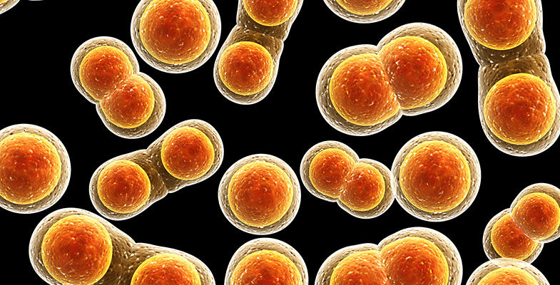 Antibiotic Resistance And Microbiology